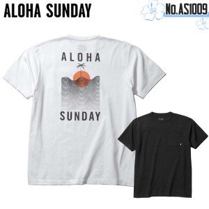 23 ALOHA SUNDAY アロハサンデー Tシャツ AS1009 トップス 半袖 ショートスリーブ 夏服 サーフィン バックプリント パームツリー ヤシの