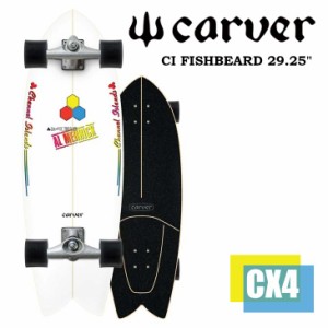 CARVER カーバー スケートボード Channel Islands チャンネルアイランド CI FISHBEARD フィッシュベアード 29.25” サーフスケート CX ト