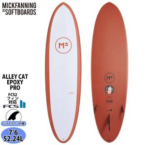 25 ミックファニングソフトボード NEUGENIE EPOXYPRO ニュージニー