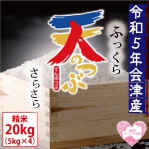 天のつぶ 精米 20kg（5kg×4）会津産 令和5年産 ※九州は送料別途500円・沖縄は送料別途1000円