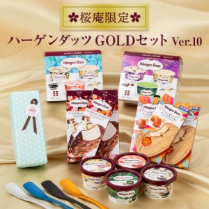 ハーゲンダッツ アイスクリーム　GOLDセット＆Made in TSUBAMEアイススプーン4個セット【ver.10】【送料込】【ラッピング付】(11種・22個