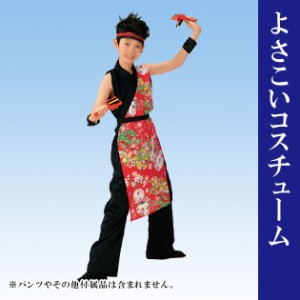 法被 半被 よさこい 衣装 ジュニア 子供 長袢天 きぬずれ 衣裳 赤