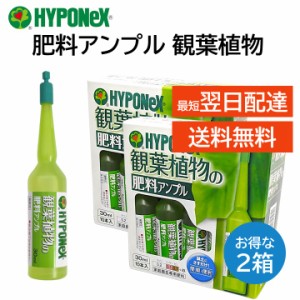 ハイポネックス アンプル 肥料 ２箱 観葉植物用 30ml 10本入り 簡単 便利 緑を鮮やかに丈夫 植木鉢 プランター 玄関 室内 ガーデニング 