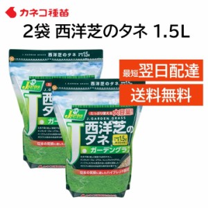 西洋芝の種 ２袋セット 芝生 種 30平米 9坪分 1.5L 日本の気候に適した配合 家庭 高品質 初心者の方にもおすすめ DIY 業務用 日陰 カネコ