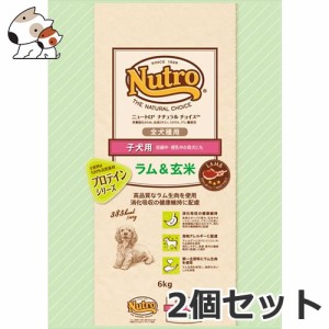 2個セット ニュートロ ナチュラルチョイス ラム＆玄米 子犬用 全犬種用 6kg×2個セット