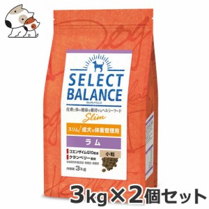 ☆2個セット ベッツ・チョイス セレクトバランス スリム ラム 小粒 3kg×2個セット