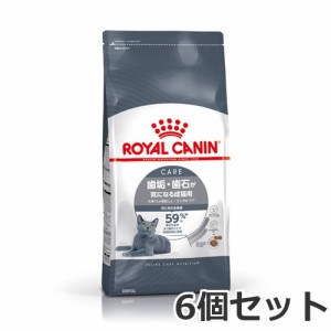 ロイヤルカナン 6個セット デンタル ケア 1.5kg×6個セット（歯垢・歯石が気になる猫専用フード 成猫用 デンタルケア）■■