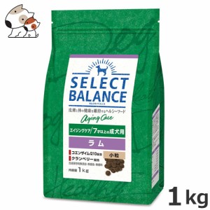 ベッツ・チョイス セレクトバランス エイジングケア ラム 小粒 1kg