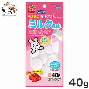 マルカン うさぎのカリポリおやつ ミルク風味 40g