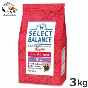 ☆ベッツ・チョイス セレクトバランス パピー ラム小粒 3kg