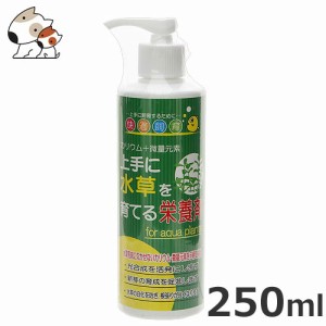 ソネケミファ 上手に水草を育てる栄養剤 250ml