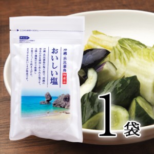 おいしい塩 日本自然発酵 100g×1袋 しお 調味料 