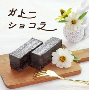 お中元 ギフト プレゼント 送料無料 スイーツ ガトーショコラ ケーキ チョコ ケーキ 270g (ラッピング付き)