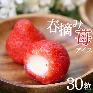 父の日 プレゼント お菓子 スイーツ アイス いちご 贈り物 デザート 苺 送料無料 春摘み苺アイス 30粒