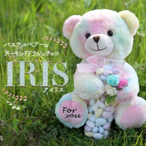 ギフト プレゼント お菓子 チョコ 送料無料 ぬいぐるみ 熊 パステルベアー＆ドラジェ IRIS