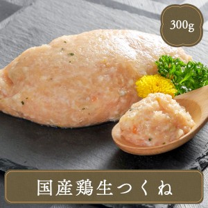 水炊き 鶏つみれ【300ｇ】 鶏 つくね つみれ 冷凍食品 居酒屋 レストラン 食堂 お弁当屋さん カラオケ店 学園祭 移動販売 模擬店 ゴルフ