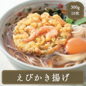 かき揚げ 海老（エビ）かき揚げ10枚 ニッスイ えび エビ 海老 業務用冷凍食品