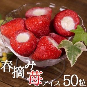 父の日 プレゼント アイス 苺 春摘み苺アイス (50粒)  お菓子