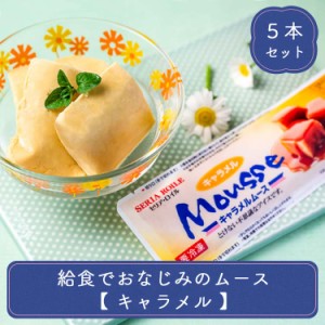 アイス ギフト スイーツ 給食でおなじみのムース キャラメル 5本 セット おやつ デザート 食後 食後のデザート