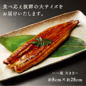 うなぎ 蒲焼き 真空パック 鰻 ウナギ ひつまぶし 無頭 1尾入 食材 おかず 業務用 惣菜 家庭用