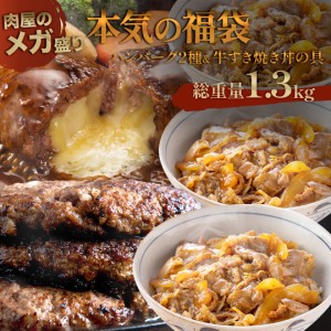 【 送料無料 】 福袋 2023 ハンバーグ 2種 ガッツリ ＆ すき焼き 丼の具 3食　合計 1.3kg !  訳あり お肉 3種 食品 応援 支援 牛肉 豚肉 