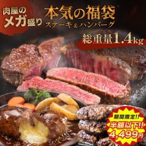 【 期間限定!! 55％OFFで4,499円!!】 新春福袋 [ 大人気！ 5月28日より順次発送！ ] 【 送料無料 】 福袋 2023 ステーキ & ハンバーグ 2