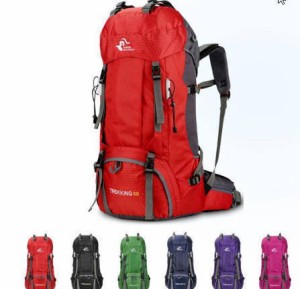 バックパック 大容量 メンズ キャンプ 登山 ミリタリー 海外ブランド 60L リュックサック アウトドア FreeKnight