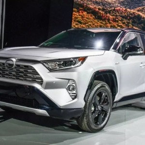 新型rav4 50系 フォグライト トリムカバー メッキ