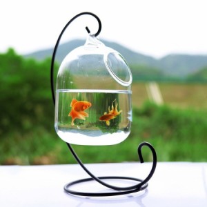 アクアリウム 水槽 ガラス 高さ 15cm 吊り下げ Clear PETFORU Hanging Glass Fish Bowl