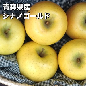 りんご 訳あり 5kg 青森県 シナノゴールド 小玉 22-23玉入 送料無料 りんご 約5kg シナノゴールド ご家庭用 糖度保証 当店のりんごは糖度