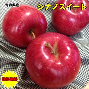 りんご 10kg ご家庭用 青森県産 シナノスイート 10kg 送料無料 りんご 10Kg ご家庭用 お試し シナノスイート 青森 