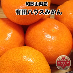 お中元 みかん 和歌山県 有田みかん ハウスみかん 秀 3Lサイズ  5kg みかん 送料無料 父の日 ギフト