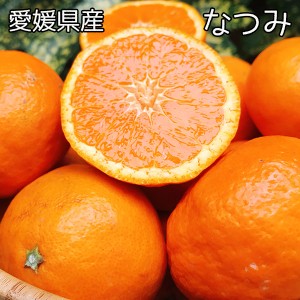 みかん 小玉 なつみ 送料無料 愛媛県 なつみ 秀品 Sサイズ 2.5kg みかん ギフト 夏に食べるみかん