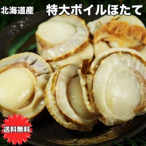 ホタテ ほたて 冷凍 1Kg 北海道 特大 送料無料 ボイルホタテ ギフト 国産 北海道 ボイル帆立 1Kg 内容量800g