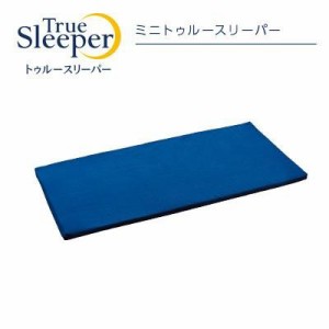 【正規品】 新品 トゥルースリーパー TrueSleeper ごろ寝マット ミニトゥルースリーパー 47×110