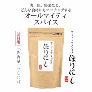 アウトドアスパイス ほりにし【詰め替え用300g】キャンプ・BBQ料理・家庭料理に。どんな食材でもマッチするオールマイティ調味料！［OR-S