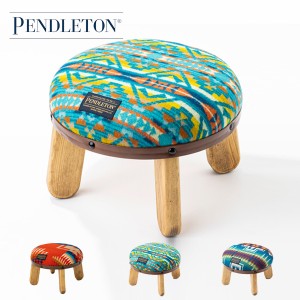 PENDLETON ペンドルトン / Woody Compact Chair ウッディーコンパクトチェアー (19801715) (2023秋冬)