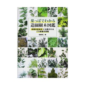 葉っぱでわかる造園樹木図鑑 造園技能検定に出題される170樹種を掲載 中古 古本の通販はau Pay マーケット ランクアップ Au Pay マーケット店 商品ロットナンバー