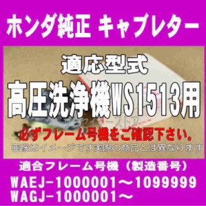 ホンダ 高圧 洗浄機 WS1513 用 キャブレター Assy.※フレーム号機をご確認下さい。[16100ZL0821-16221ZH8801]