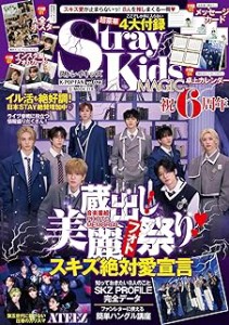 ムック本/ K-POP FAN vol.023 日本版 STRAY KIDS（ストレイキッズ）：特集 ファン G-MOOK