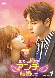 韓国ドラマ/だから俺はアンチと結婚した-第1話〜第16話- (DVD BOX 1) 日本盤 So I Married an Anti-Fan