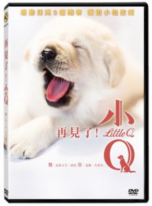 香港映画/ 再見了！小Q（DVD) 台湾盤　Little Q　盲導犬クイールの一生　再見了，可魯