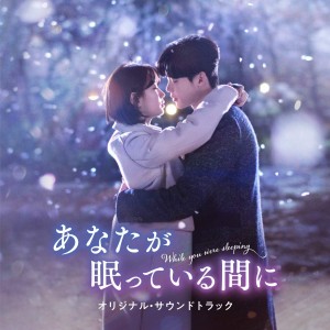 韓国ドラマOST/ あなたが眠っている間に オリジナル・サウンドトラック (2CD) 日本盤 WHILE YOU WERE SLEEPING あなたが寝てる間に