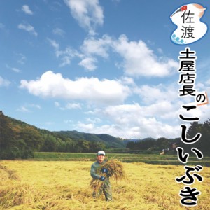 令和5年産 佐渡産こしいぶき 15kg  (白米/玄米)(/無洗米/7分づき：有料) 大野山麓で育てたお米 農薬5割減（化学肥料は慣行レベル）普通便