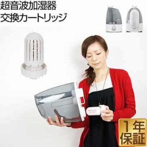 超音波加湿器うるおいプラス（uruoi+）4.0L・5.5L用 交換カートリッジ 加湿器 加湿機 卓上 フィルター 専用カートリッジ 浄化カートリッ