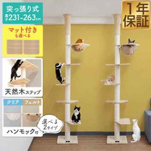 キャットツリー キャットウォーク 突っ張り スリム 紐巻き 10cm支柱 高さ231〜263cm ステップ4段 ハンモック付き 猫タワー 低め シニア 