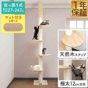 キャットツリー キャットウォーク 突っ張り スリム 太め 紐巻き 12cm支柱 高さ227〜247cm ステップ4段 猫タワー 低め シニア 運動不足 木