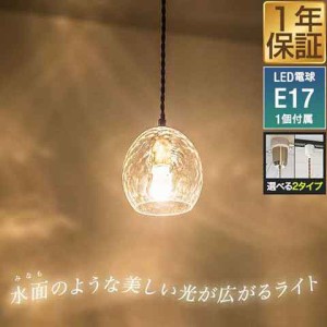 ペンダントライト北欧 1灯 電球色 LED電球付き 天井照明 ガラスシェード E17 口金 照明 丸 球 楕円 吊り下げ 引掛シーリング ダクトレー