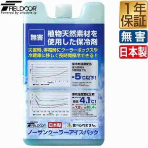 保冷剤 長時間 繰り返し 保冷パック ノーザンクーラー アイスパック 単品 9.2×16.2cm FIELDOOR NORTHERN COOLER ICE PACK 保冷パック 強