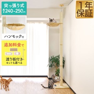 キャットツリー タワー 突っ張り 全高240 - 250cm 直径8cm シニア 運動不足 猫ちゃん 木登り きのぼり 木登りタワー 木登りキャットポー